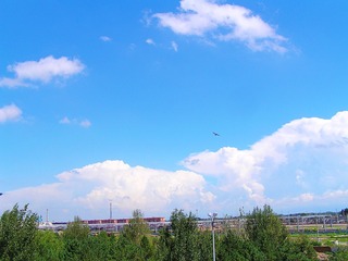 56004