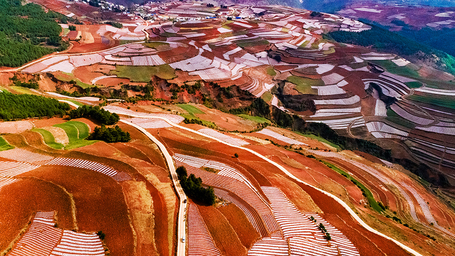 拍摄于云南省寻甸县甸沙乡鲁六