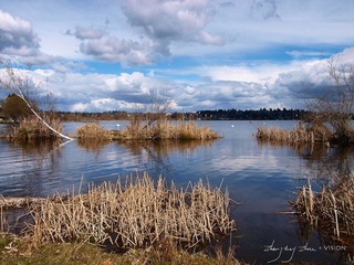 P4069438.jpg
