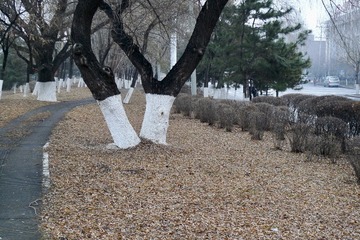 E3D2B425-2D26-4C6E-B979-79B54E5705DD/L0/001