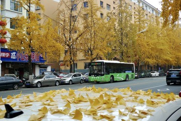 CDC48E31-9531-452E-AD6A-273663E7533C/L0/001