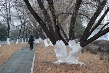 544239A8-9773-4B53-B953-BFB5C8090417/L0/001