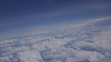 3162