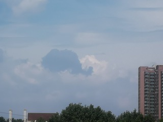 11945861