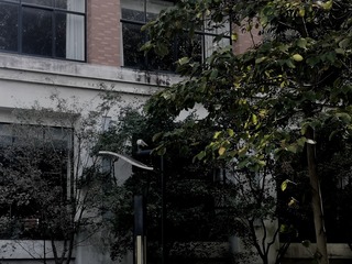 12354532