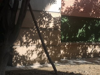 12354515