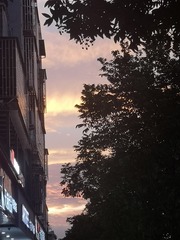 12058851