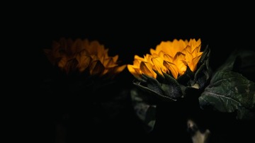 3830CD42-BCD1-4C0C-B324-7EC02D1BCA42/L0/001