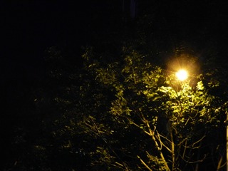 79BA8454-C8B4-472E-AC2F-E772ACD0A960/L0/001