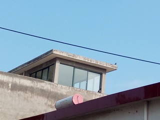 430606