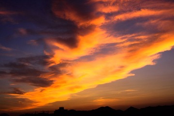 IMG_6533.jpg