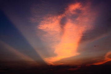 IMG_6599.jpg