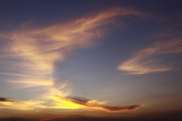 IMG_5979.jpg