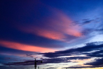 IMG_6685.jpg