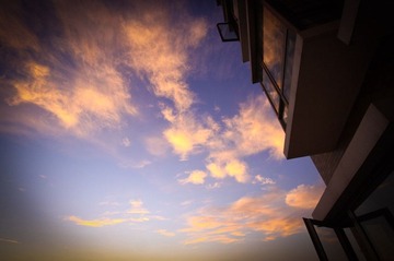 IMG_4606.jpg