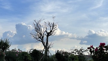 0A9CFAE2-C45D-4665-BA09-26D9812C61FF/L0/001