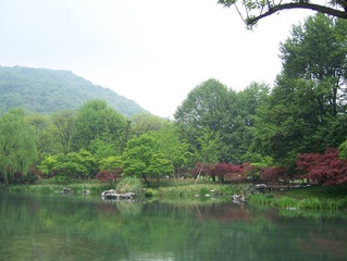 100_3782.jpg