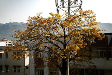 320095
