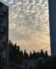 1837402