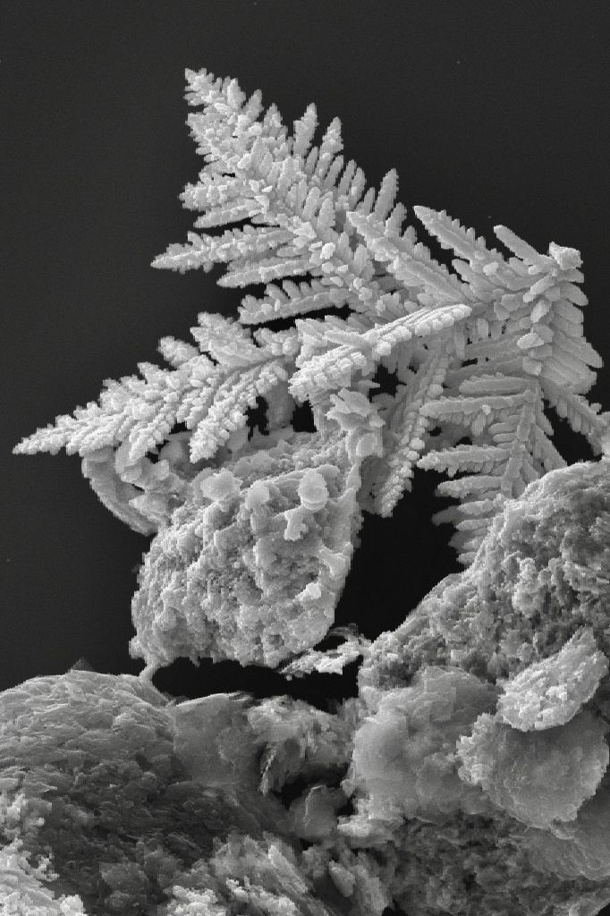 银晶体——扫描电子显微镜凡痒痒关注