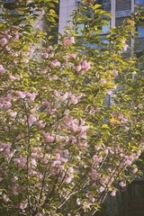 0F8D72DA-0751-44DF-ACA2-8C5FB9D25B8B/L0/001
