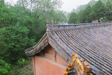 806341