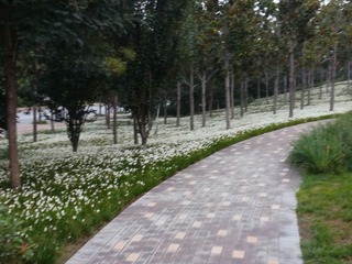 539829