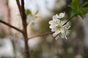 0A120441-8DB0-43C0-B670-7658EEDDBCE6/L0/001