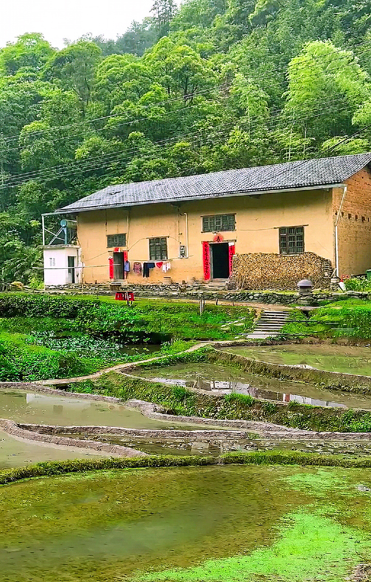 农村老家乡景乡情有喜欢的吗