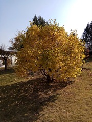 1272690
