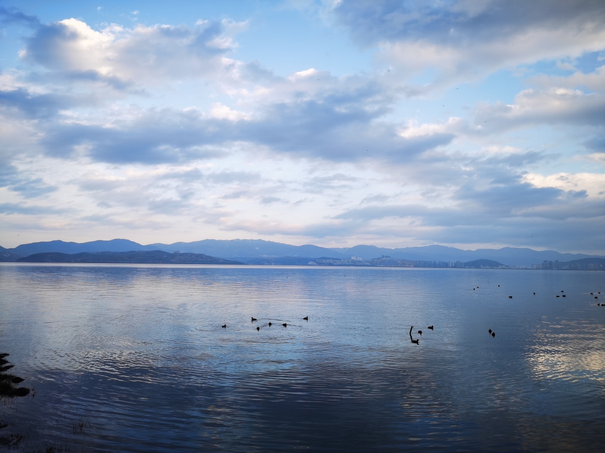 大理洱海之初冬