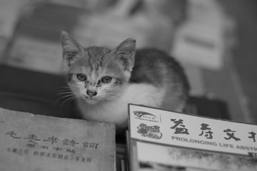 0515D14C-2986-4A6B-A62A-DB08273A6619/L0/001