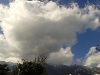 2012-01-14 11.45.56.jpg