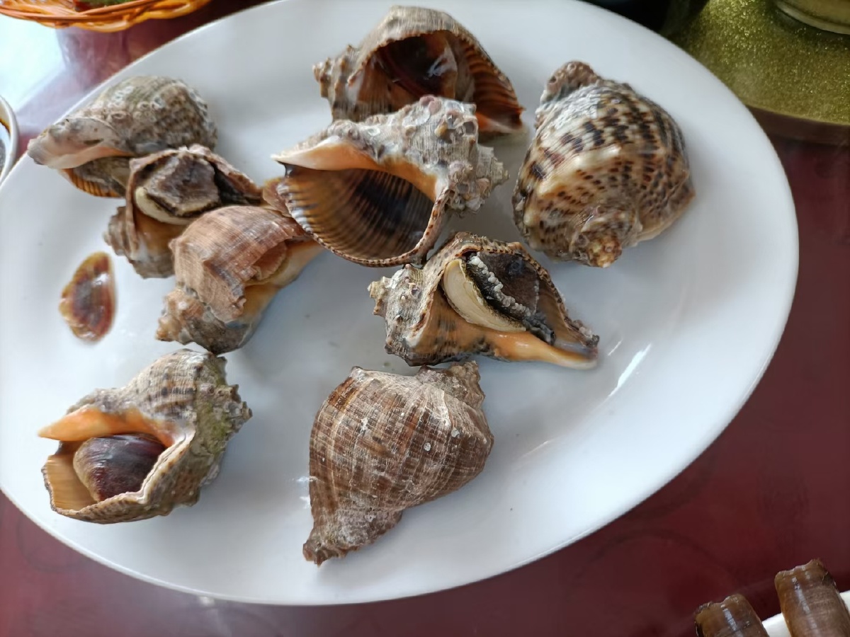 美食随手拍记录真实的生活