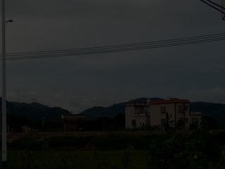 45601