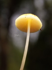 2666D09C-109D-4E83-8CBD-0CE76AF2C01E/L0/001