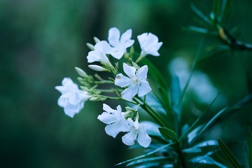 34123F30-8019-48FB-8AC1-C832F04338E3/L0/001