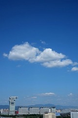 小DSCF6334.jpg