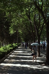 小DSCF6337.jpg