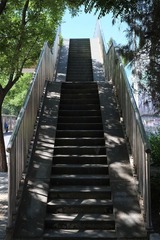 小DSCF6340.JPG