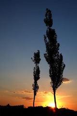 小DSCF6378.jpg