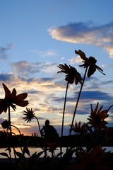 花.jpg
