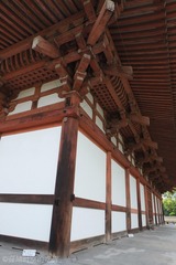 日本攻略-5624