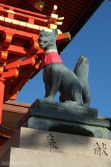 日本攻略-5748