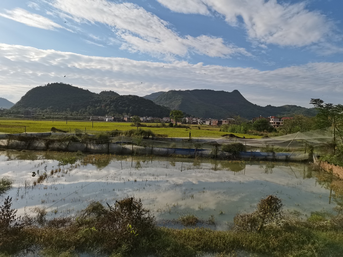 南方的冬天艳阳高照