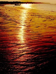 美丽的临澜湾