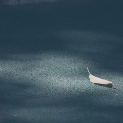 P8250174s