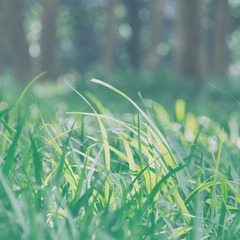 P8250176s