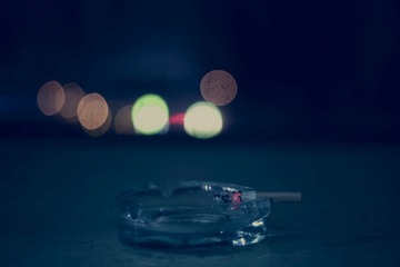 IMG_5588lab.jpg