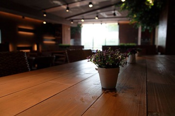 IMG_9315.jpg